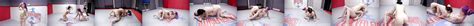 Maya Kendrick Lesbian Sex Wrestling Against Victoria Voxxx XHamster