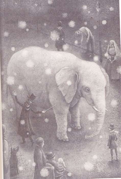 Literature: The Magician's Elephant by Kate Dicamillo