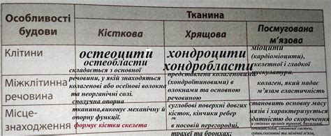 заповніть порівняльну таблицю тканин - Школьные Знания.com