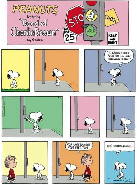 Pin By Susan Stewart On Snoopy And The Gang 5 Snoopy Funny