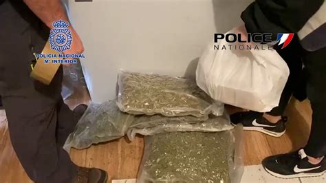 Cae Una Organizaci N Que Enviaba Droga Oculta En Camiones Youtube