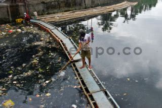 Pembersihan Sampah Di Anak Sungai Musi Palembang DATATEMPO