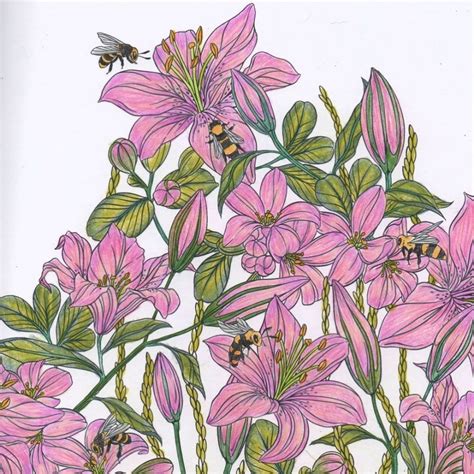 Flowerscape Coloring Book On Instagram “beautiful Lilies Everyone’s A Buzz About It 🐝💐