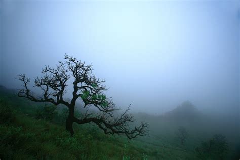 Neblina Nevoeiro Geografia Infoescola