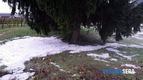 Maltempo Con Grandine Pioggia E Vento In Tutta La Provincia Le Foto