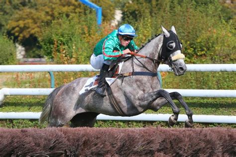 France Sire Anjou Loire Challenge Tout Savoir Sur Les Partants