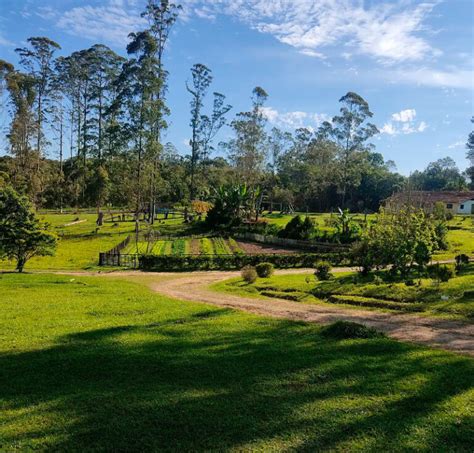 Fazenda Galo Azul