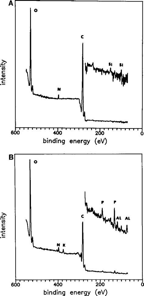 Figure 1 From X Ray Photoelectron Spectroscopy Surface Analysis Of Aluminum Ion Stress In Barley