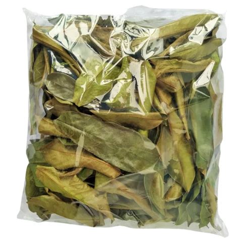Dried Soursop Leaves Dry Soursop Leaf From Vietnam With Cheap Price