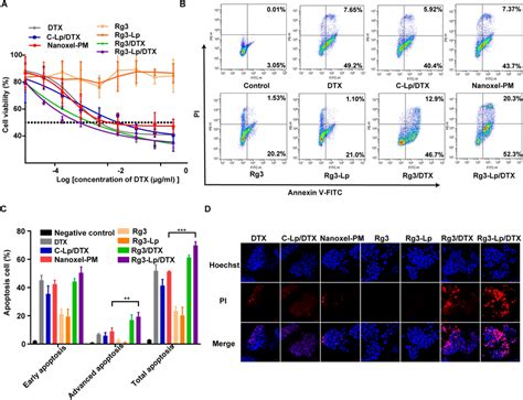 In Vitro Cytotoxicity Effect Of Rg3 Lp A MTT Assay Of DTX Rg3 Rg3 Lp