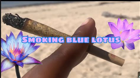 Smoking Blue Lotus Vlog Youtube