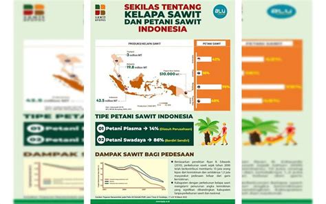 Ini Alur Jika Petani Sawit Ingin Dapat Bantuan Rp Juta Per Hektare