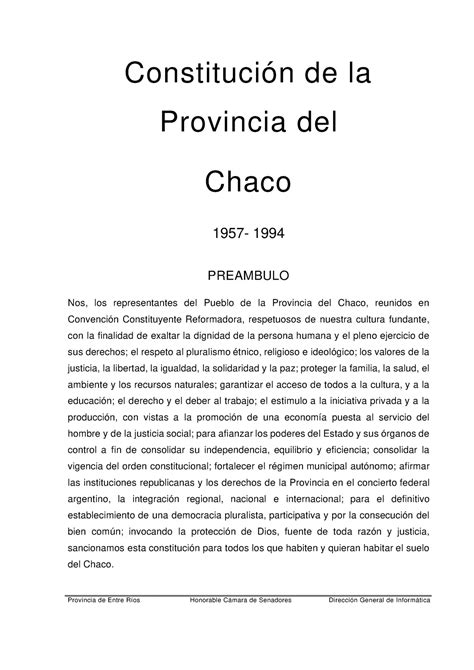 Resumen Constitución Del Chaco Derechos Gobierno Y Educación En Pocas Palabras