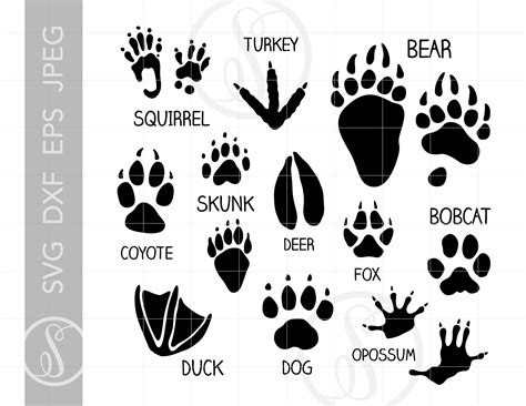 Animal Tracks Svg Cut File Clipart Downloads Animal Paw Etsy