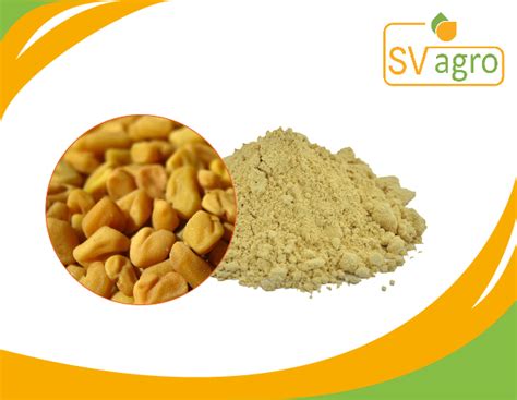 Fenugreek Extract At Best Price In India