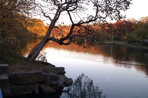 Van Cortlandt Park In Nyc One Of My Favorite Places Nyc Park