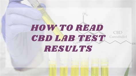 How To Read Cbd Lab Test Results Hello Amber