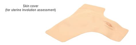 Peau De Remplacement Pour Simulateur Mw38 Mice Swiss