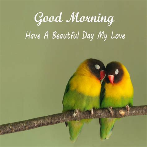 Good Morning Have A Beautiful Day My Love Birds Wishes Images Good Morning Images Quotes