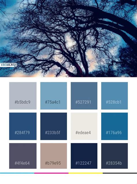 Color Palette Ideas From Cloud Sky Cumulus Image Icolorpalette Artofit