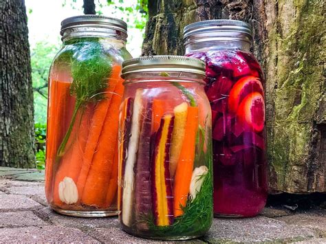 Easy Lacto Fermented Vegetables Step By Step For Beginners