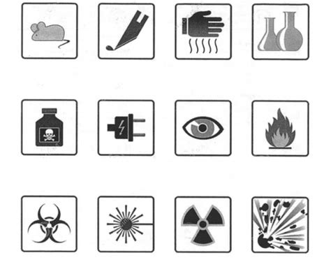 Lab Safety Symbols Matching Quiz Worksheets Library