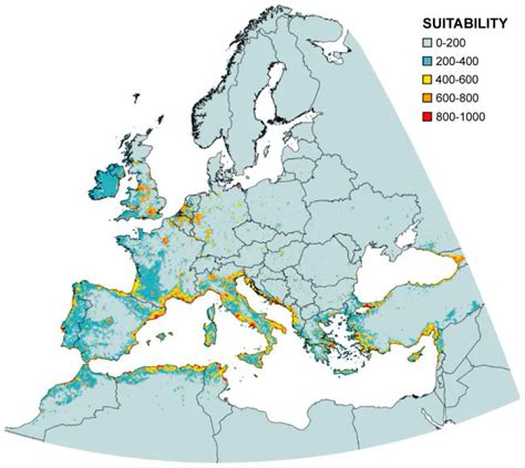 El cambio climático favorece la invasión de hormiga roja de fuego en Europa