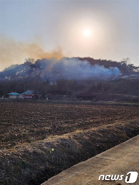 충남 당진 산불 27분만에 진화헬기1대·진화대원35명 투입 네이트 뉴스