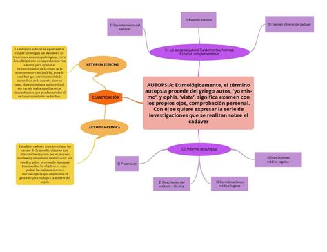 Autopsia Forensic Notes Udocz