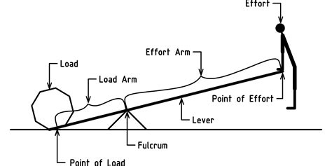 Label The Parts Of A Lever System At Lynda Tawney Blog