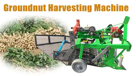 How To Harvest Peanuts Efficiently Groundnut Harvesting Machine