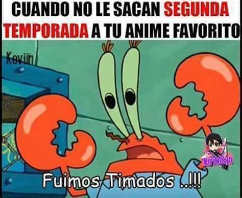 Los Mejores Memes Bob Esponja La Historia Siempre Erizos