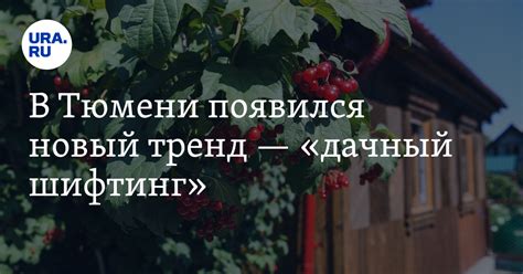 Жители Тюмени начали массово продавать дачи, чтобы купить новые ближе к ...