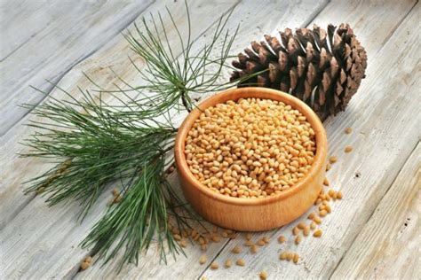 В каких продуктах питания содержится цинк | MedAboutMe