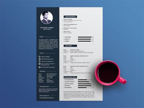 Resume Templates Adobe Illustrator 2 TEMPLATES EXAMPLE TEMPLATES