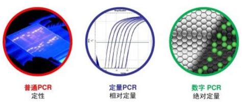 口蹄疫o型a型asia1型fmdv O A Asi）检测试剂盒pcr法价格详情介绍 960化工网 960化工网