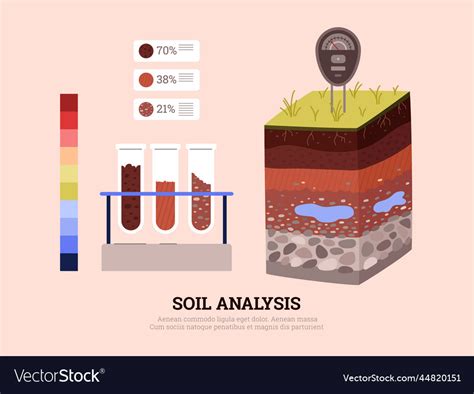 Soil Analysis Infographic Showing Section Vector Image