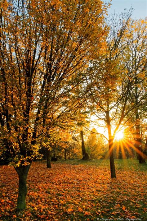 Les Plus Belles Photos D Automne Coucher De Soleil Automnal Photo