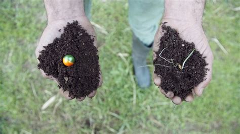 Drones For Good Planting Seeds From The Sky
