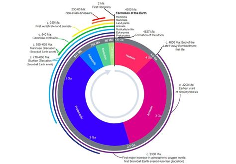 Why Scientists Voted Down Proposal To Declare Start Of The Anthropocene