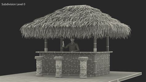 Barman At Tiki Bar Rigged D Model Max Free D