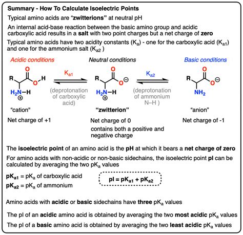 Isoelectric Points Of Amino Acids And How To Calculate Them Master