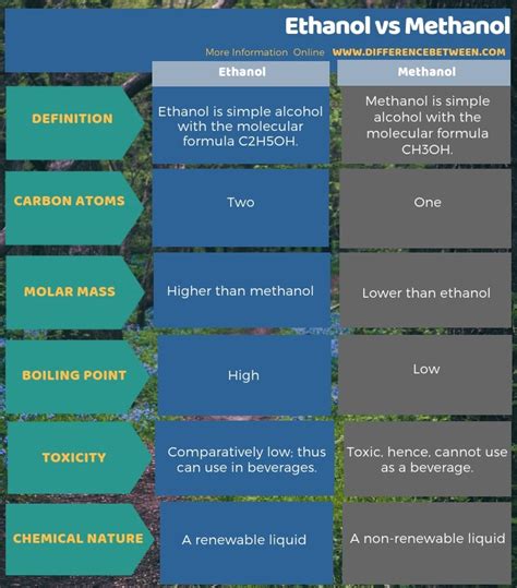 Difference Between Ethanol and Methanol | Compare the Difference Between Similar Terms