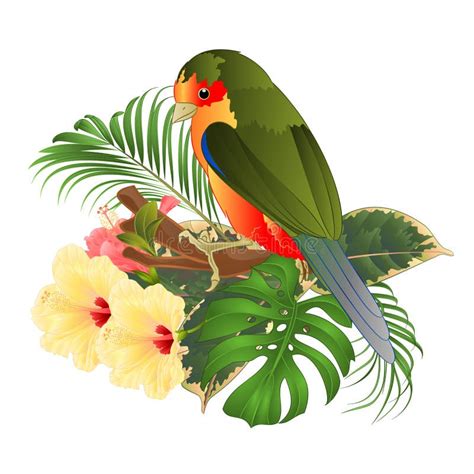 Bouquet D Oiseau Tropical Avec Des Hibiscus De Fleurs Tropicales Sur