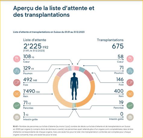 La X Notransplantation R Nale Un Espoir Pour Combler Le D Ficit D