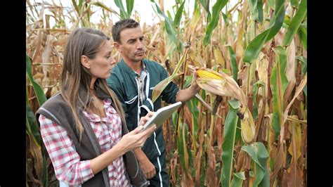 Teaser Rendez Vous Tech Bio Grandes Cultures Et Diversification