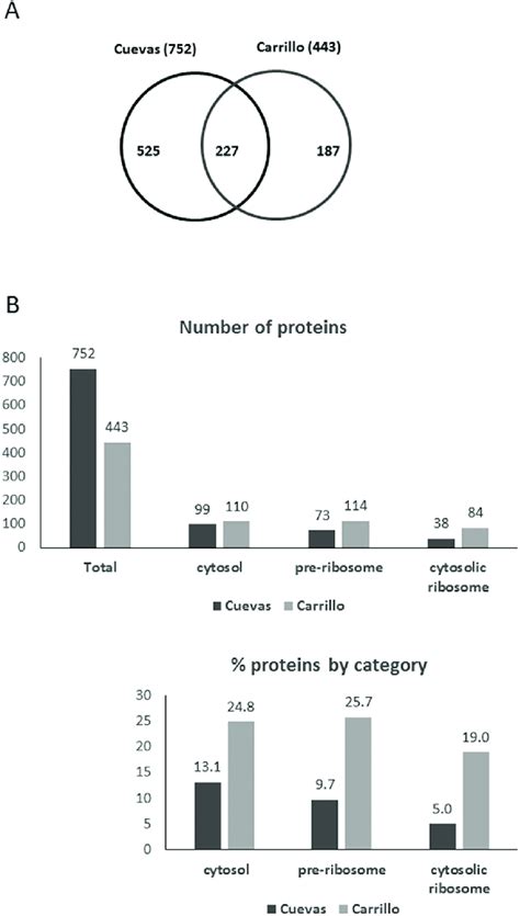 Proteome Determined By Ychefs Compared With Other Proteomic Analyses