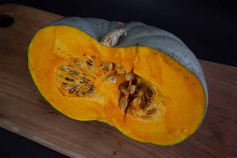 How To Plant And Grow Calabaza Squash Gardener’s Path Reportwire