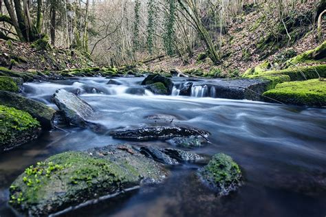 Arroyo Flujo Bosque Foto Gratis En Pixabay Pixabay