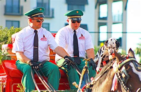 Budweiser Clydesdales | Suncoast Beverage Sales